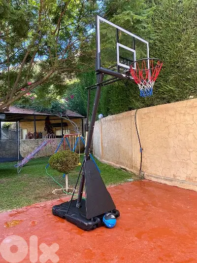 230$ movable hoop basketball