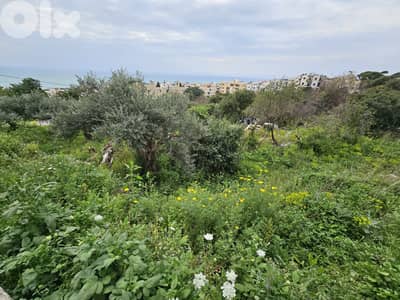 RWB288MT - Land for sale in Amchit Jbeil