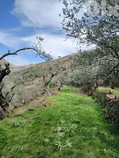 ارض للبيع في راشيا الوادي land for sale in rashaya