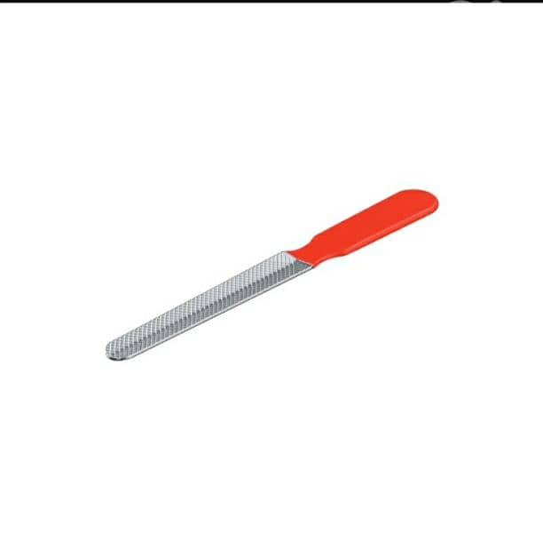 ZOOFARI Glossy fur and groomed paws / 4$ delivery 6