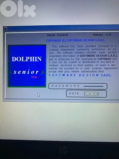 dolphin  stock & accounting