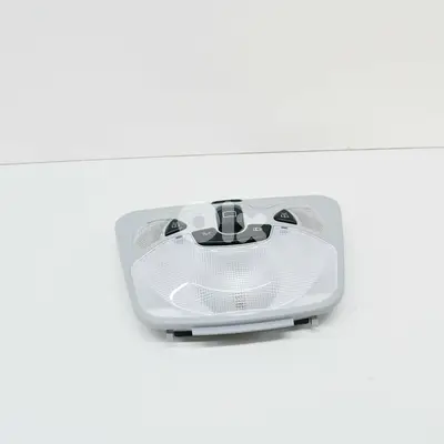 W463 Front Roof Interior Light