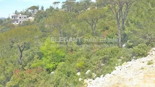 Beautiful Land | Green Neighborhood | Easy Access