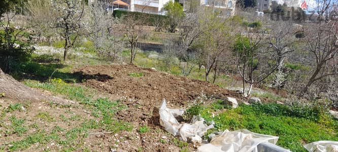 2500 sqm Land with 80 m House for sal in Kfardebian Keserwan
