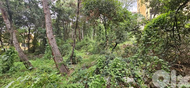 Land for sale in Mtayleb أرض للبيع في المطيلب