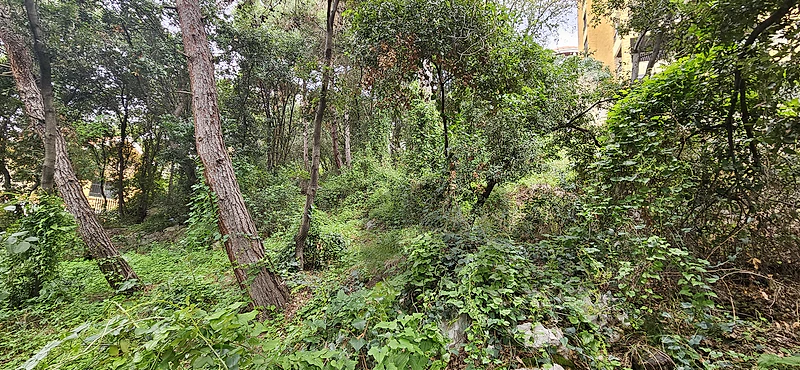 Land for sale in Mtayleb أرض للبيع في المطيلب
