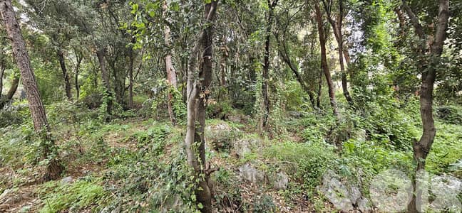 Land for sale in Mtayleb أرض للبيع في المطيلب