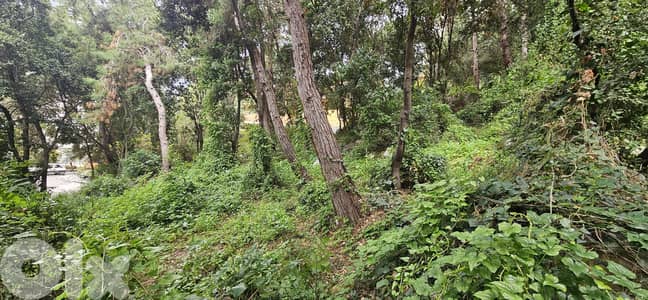 Land for sale in Mtayleb أرض للبيع في المطيلب