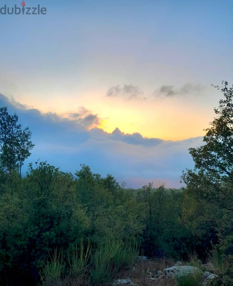 5500 SQM Land with OAK TREES in Tarchich Overlooking the Mountains 0
