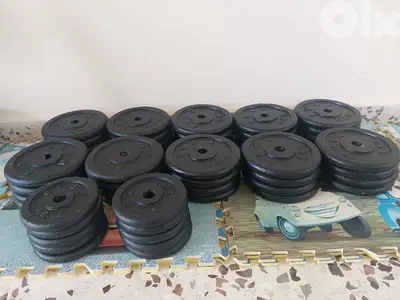 5 kg and 2.5 kg plates