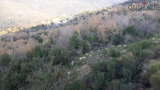 3188 Sqm | Land for sale in Kniseh / Chouf