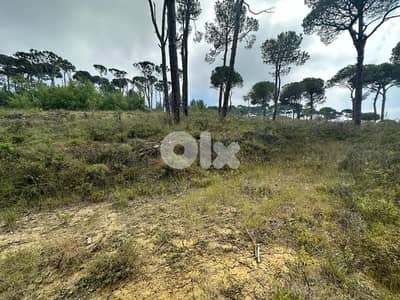 6800 Sqm | Land for rent in Deir el Haref