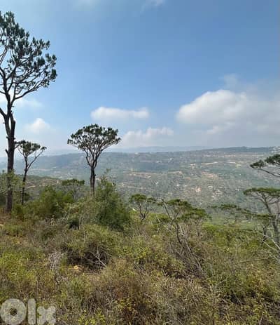 6800 Sqm | Land for rent in Deir el Haref