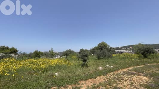 RWB148CA - Land for sale in Bejjeh Jbeil