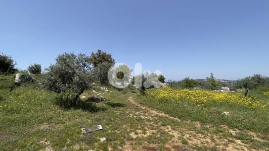 RWB148CA - Land for sale in Bejjeh Jbeil