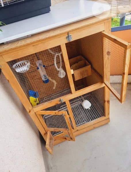 birds cage 1