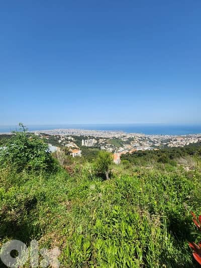 land for sale in ayn saade  أرض للبيع في عين سعاده