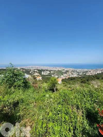 land for sale in ayn saade  أرض للبيع في عين سعاده