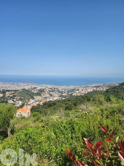 land for sale in ayn saade  أرض للبيع في عين سعاده