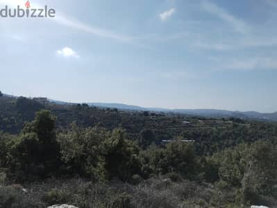 Land for sale in Helta,Batroun   أرض للبيع في حلتا،البترون