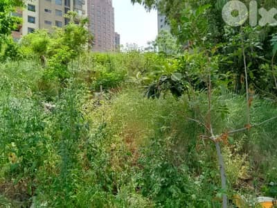 1410 Sqm | Land for rent in Sin el Fil | Prime location