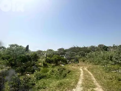Land For Sale In Jbeil | Prime Location | أرض للبيع | PLS 26015