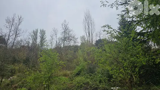 RWK324GZ  Land For Sale In Faraya With An Old Home  أرض للبيع في فاريا