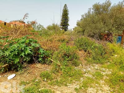 Land for sale in Mansourieh ارض للبيع في منصورية