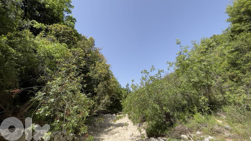 RWB152CA - Two Lands for sale in Ghalboun Jbeil 2
