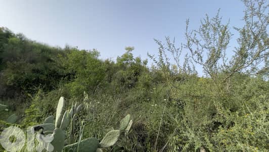 RWB153CA - Land for sale in Chamat Jbeil. Suitable for investment