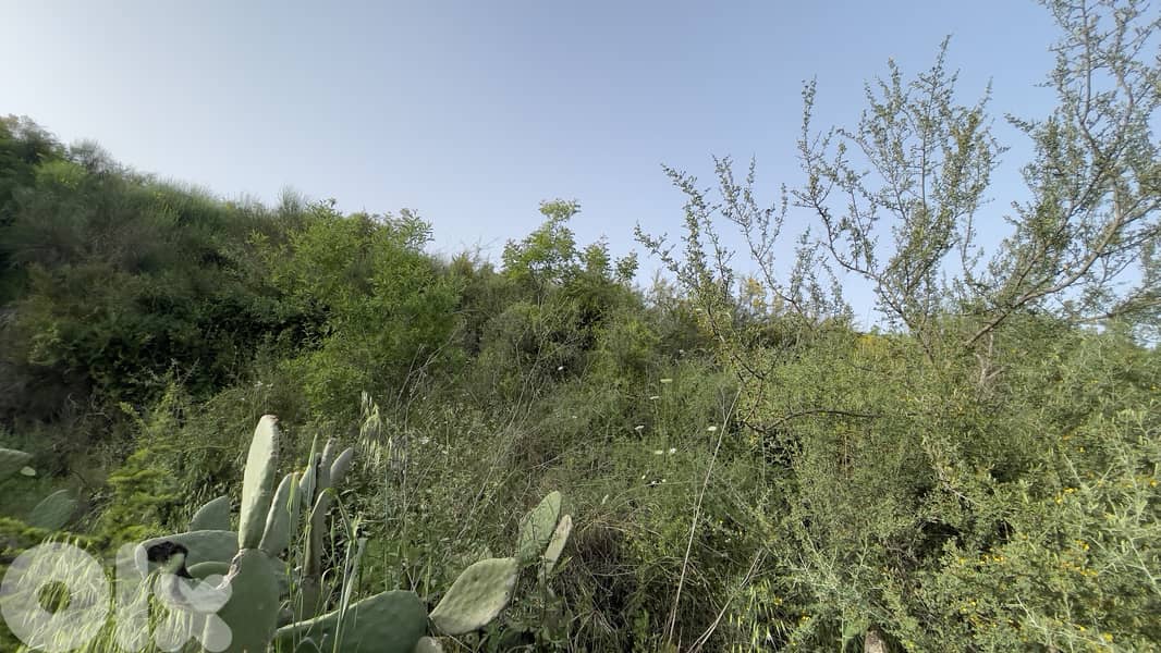 RWB153CA - Land for sale in Chamat Jbeil. Suitable for investment 1