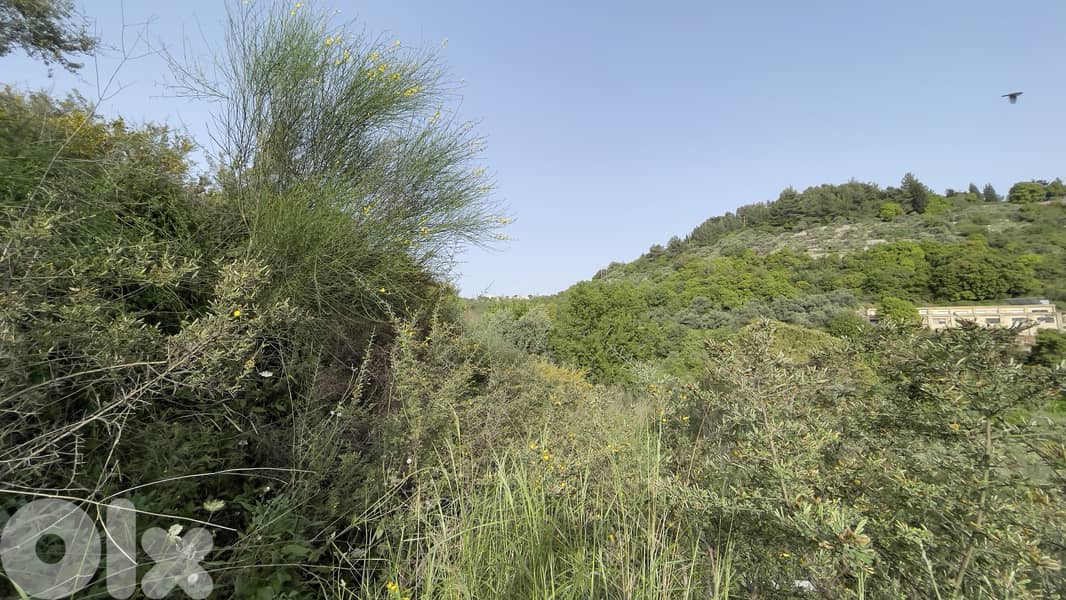 RWB153CA - Land for sale in Chamat Jbeil. Suitable for investment 2