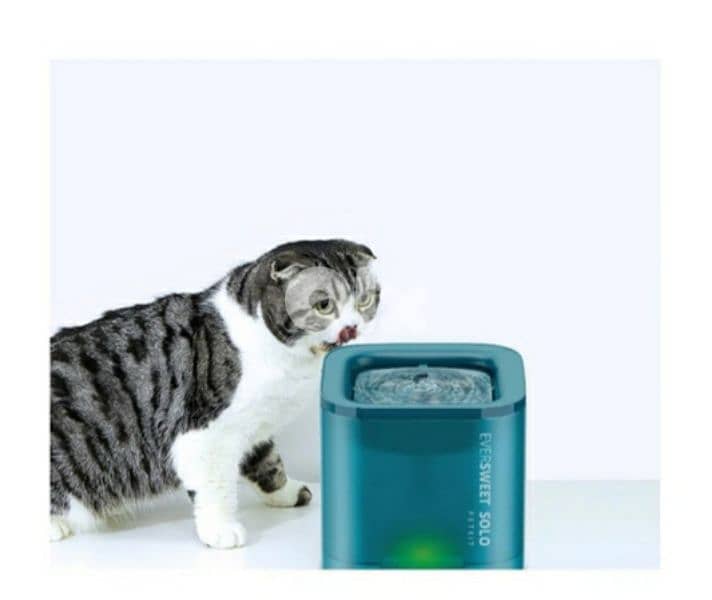Eversweet Solo. smart pet drinking fountain/4$ delivery 10