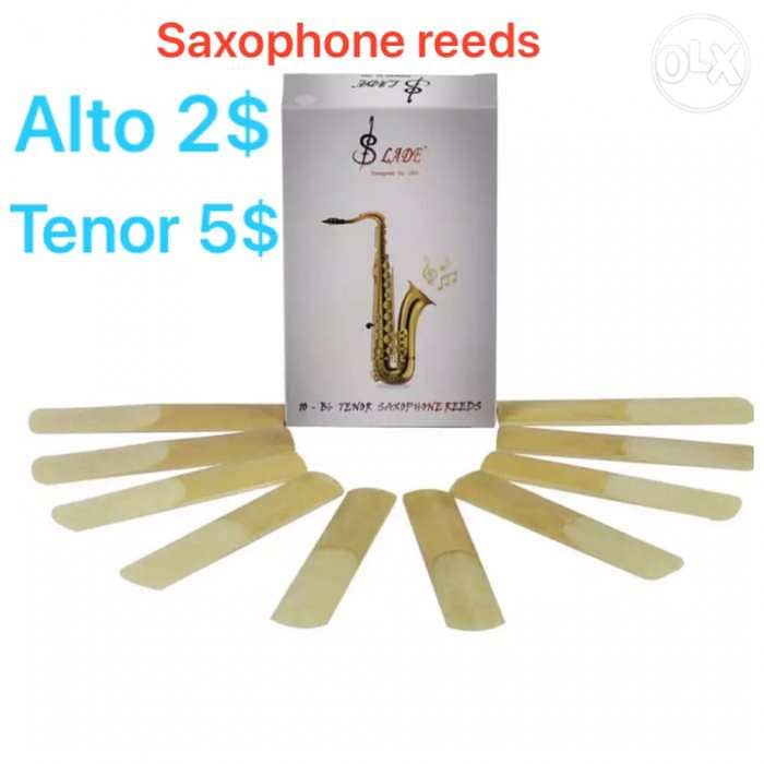 Reeds for saxophone and clarinet 1