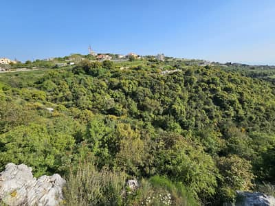 RWB296MT - 5,400sqm Land for sale in Maad Jbeil