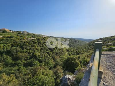 RWB296MT - 5,400sqm Land for sale in Maad Jbeil