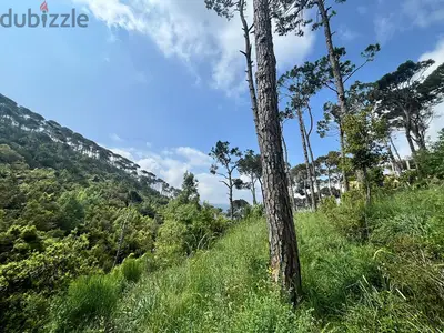 650 Sqm & 750 Sqm | 2 Lands For Sale In Zaroun زرعون | Mountain View