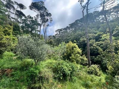 650 Sqm & 750 Sqm | 2 Lands For Sale In Zaroun زرعون | Mountain View