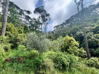 650 Sqm & 750 Sqm | 2 Lands For Sale In Zaroun زرعون | Mountain View