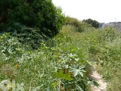 1800 Sqm | Land For Rent Or Sale In Sin El fil أرض للايجار في سن الفيل
