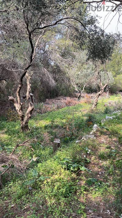 2690 SQM Land in Choueifat El Qoubbeh, Aley Panoramic View