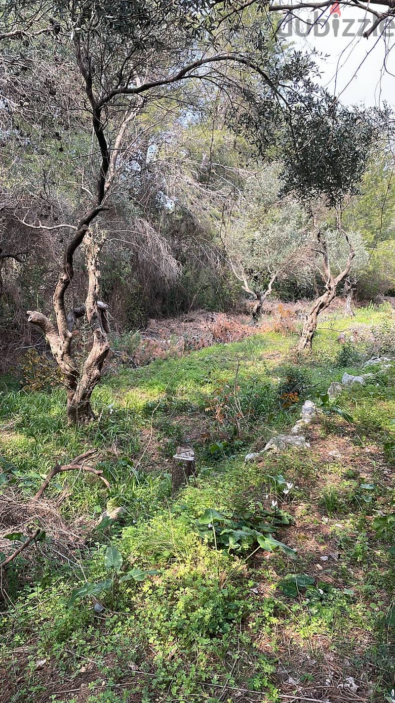 2690 SQM Land in Choueifat El Qoubbeh, Aley Panoramic View 1