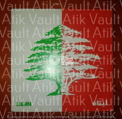 45 ans au service du Liban  vinyl 45t 7" Lebanese Phalanges theme