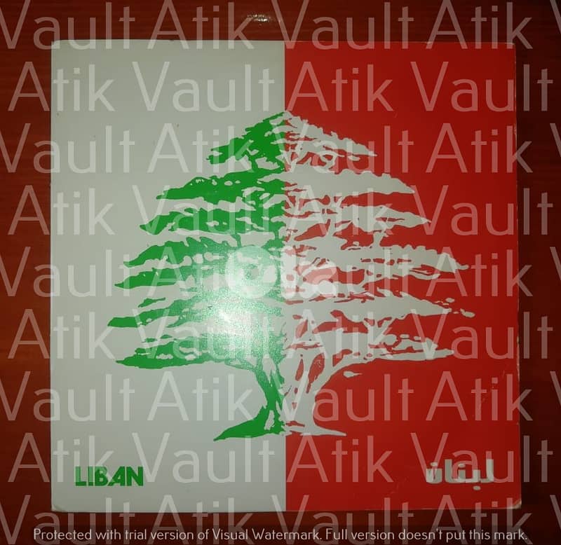 45 ans au service du Liban  vinyl 45t 7" Lebanese Phalanges theme 0