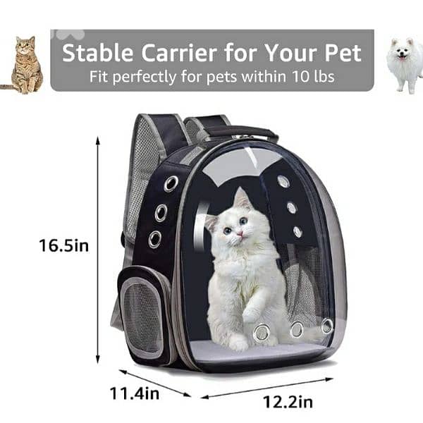 FPVERA Black Cat Backpack Carrier:Transparent for Traveling 4$delivery 5