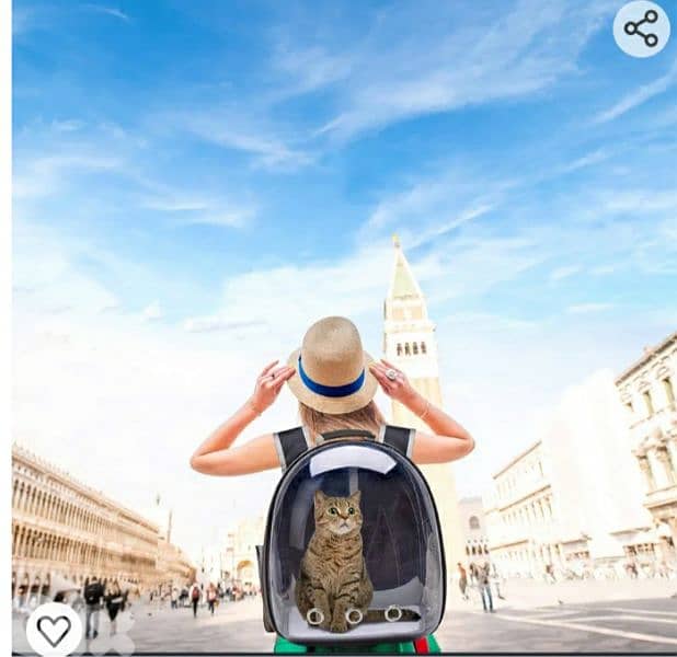 FPVERA Black Cat Backpack Carrier:Transparent for Traveling 4$delivery 7