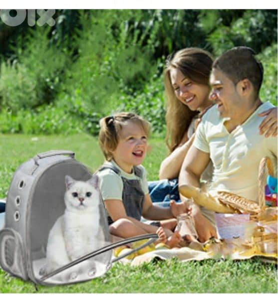FPVERA Black Cat Backpack Carrier:Transparent for Traveling 4$delivery 9