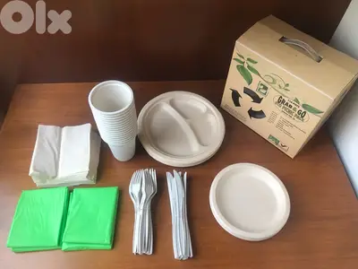 Didposable Biodegradable tableware and cutlery for picnic