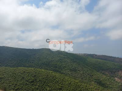 Land For Sale in Braij Jbeilارض للبيع في بريج جبيلCPJRK216