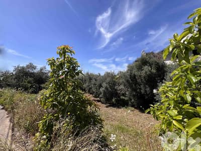 Land For Sale In Batroun | Amazing View | أرض للبيع | PLS 26019